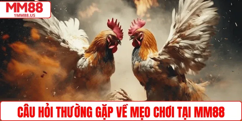 Câu hỏi thường gặp về mẹo chơi tại MM88